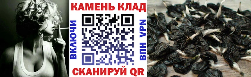 Гашиш Cannabis Болотное