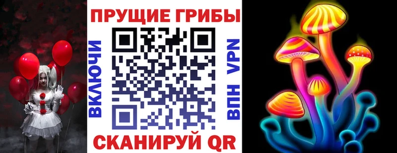 где купить наркоту  Болотное  MEGA ТОР  Псилоцибиновые грибы GOLDEN TEACHER 